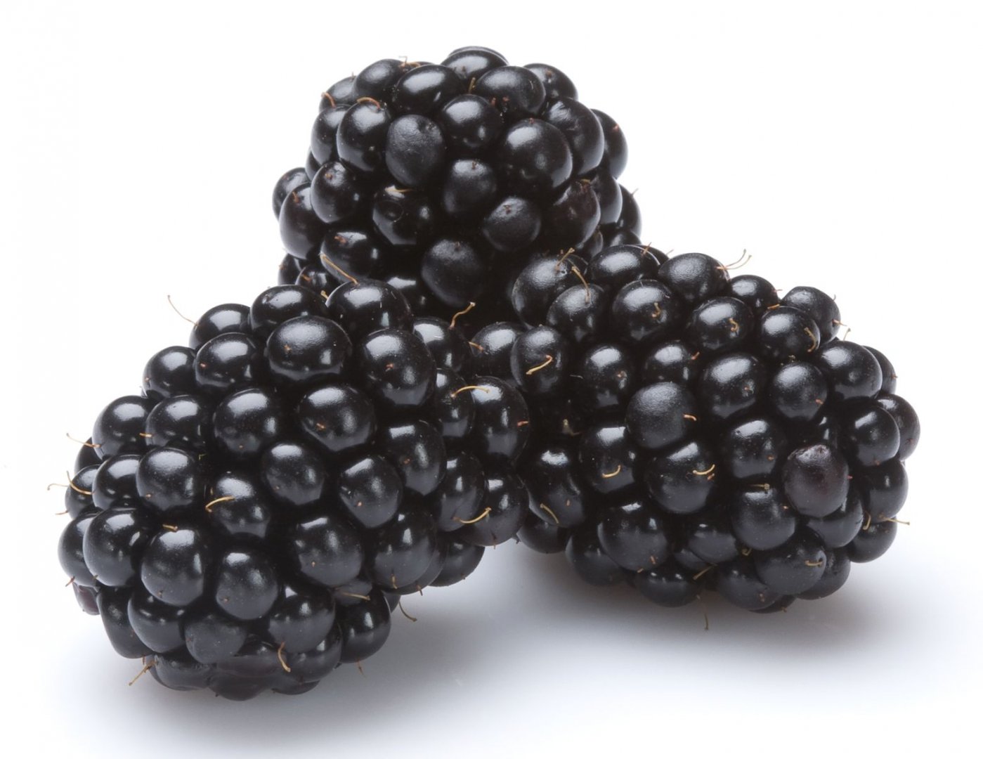 Black Berries (Punnet) - Euro Harvest - Fruit & Vegetable Wholesalers London